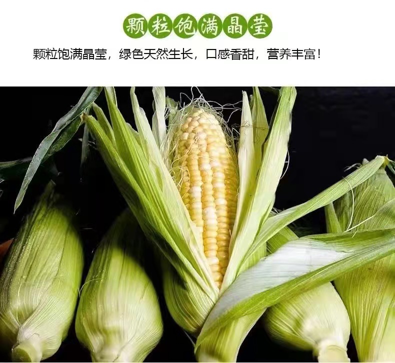 品質(zhì)好的水果玉米