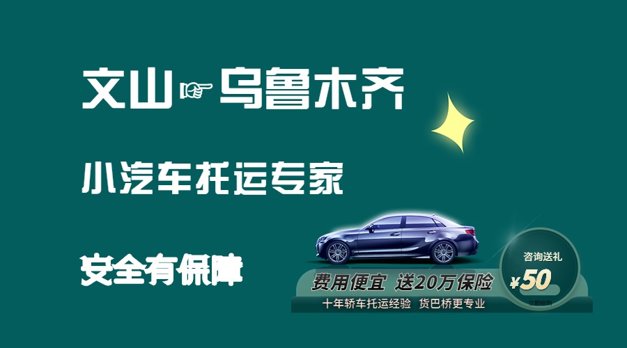 文山到烏魯木齊轎車托運
